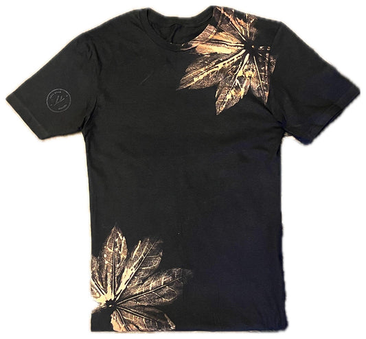 Kids - Japanese Aralia